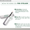 serum-dưỡng-mi-FEG-Eyelash-Enhancer10